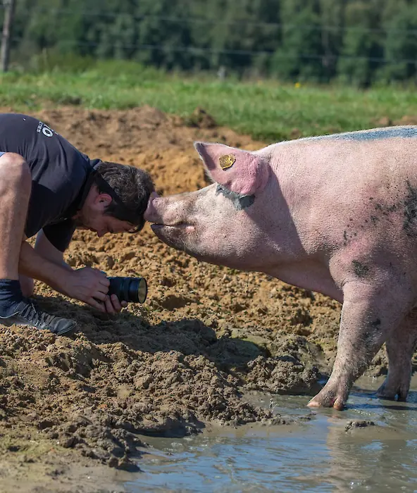 achtergrond afbeelding