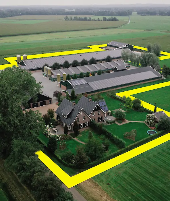 achtergrond afbeelding