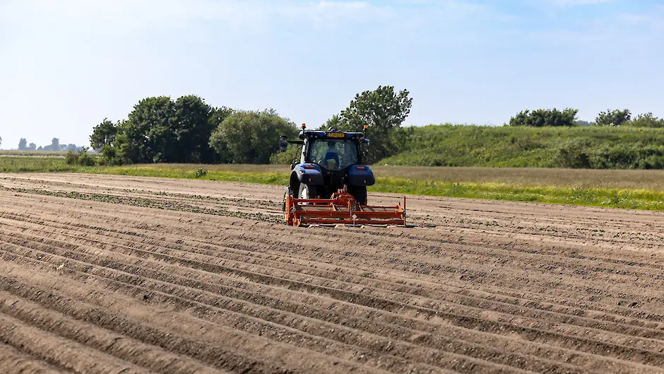 Aardappelrug ploegen