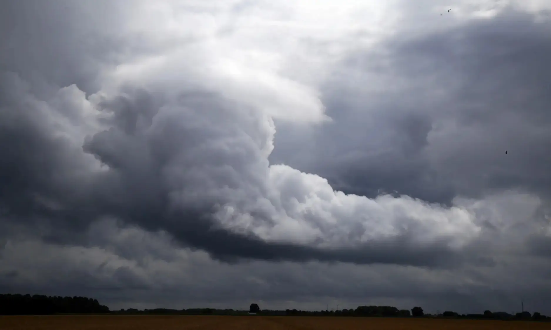 Top 5 zorgen onder boeren