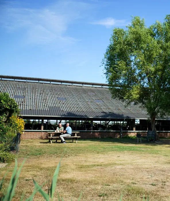 achtergrond afbeelding