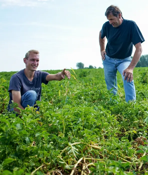 achtergrond afbeelding