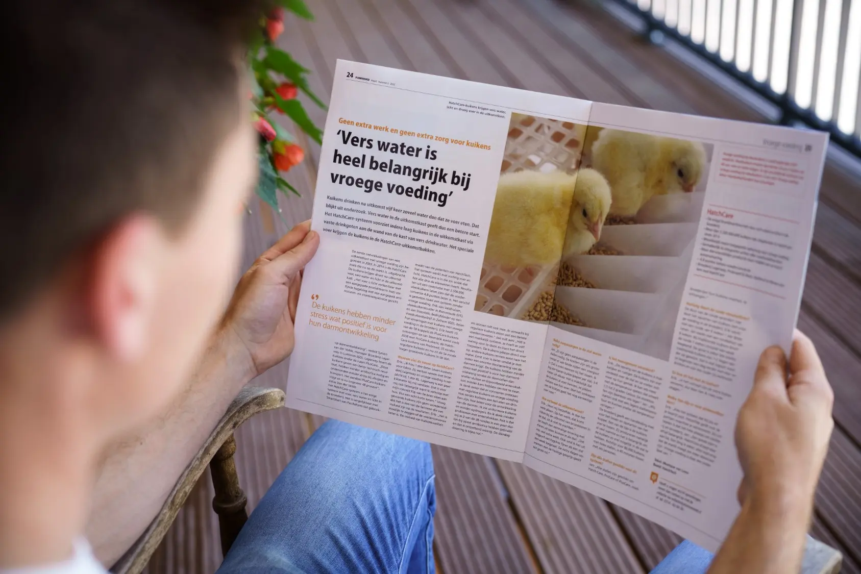 Het effect van onze mediamerken in print