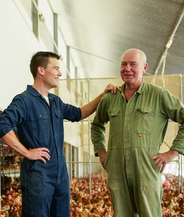 achtergrond afbeelding