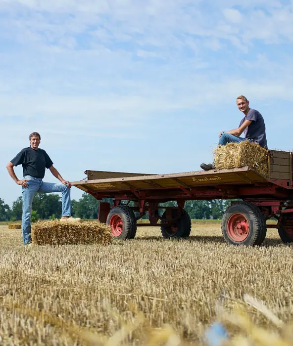 achtergrond afbeelding