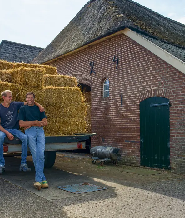 achtergrond afbeelding