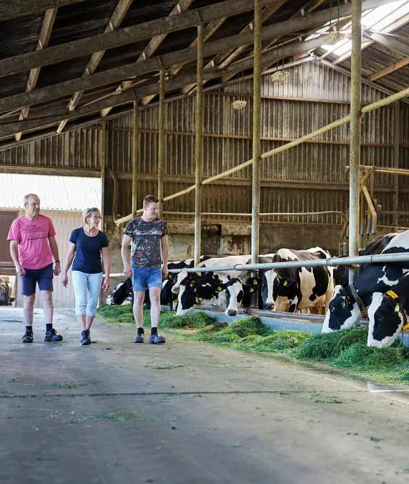 achtergrond afbeelding