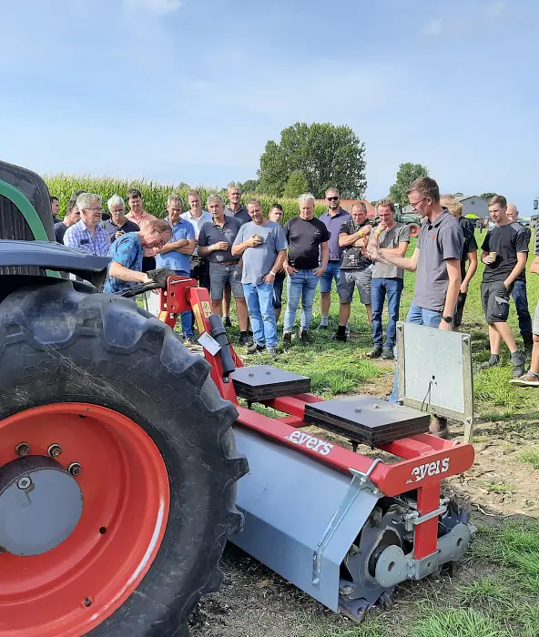 achtergrond afbeelding