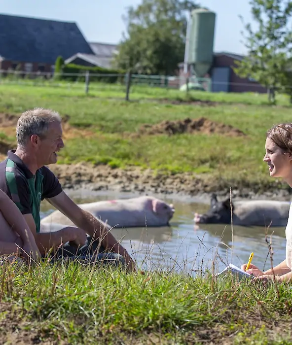 achtergrond afbeelding